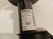 Federbein Links Vorne 98311678800 Peugeot 208 II (UB/UH/UP) Schrägheck 5-drs 1.2 Vti 12V PureTech 75 (EB2FAD(HMH)) 2020