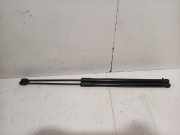 Gasdruckfedern Set Hinten L1TBS406A10AC Ford Puma SUV 1.0 Ti-VCT EcoBoost mHEV 12V (B7JB) 2024