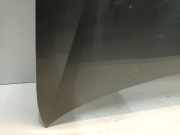 Motorhaube Volkswagen Golf VI (5K1) Schr?gheck 1.6 TDI 16V (CAYC(Euro 5)) 2011-06 CAYC(Euro 5)