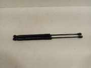 Gasdruckfeder Set Vorne 654700462R Renault Megane IV (RFBB) Schrägheck 5-drs 1.6 GT Energy TCe 205 EDC (M5M-450(M5M-B4)) 2016