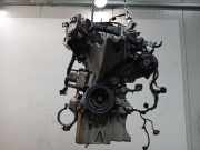 Motor YYJD Ford EcoSport (JK8) SUV 1.0 EcoBoost 12V 140 (YYJD) 2017