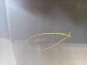 Motorhaube Volkswagen Golf VIII (CD1) Schrägheck 1.5 eTSI 16V (DFYA) 2021 DFYA