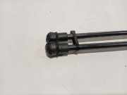 Gasdruckfedern Set Hinten 9813177780 Citroën C3 (SX/SW) Schrägheck 1.2 Vti 12V PureTech (EB2F(HMZ)) 2017-04