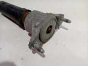 Stoßdämpfer Links Hinten A2463202131 Mercedes-Benz A (W176) Schrägheck 1.5 A-180 CDI 16V (OM607.951) 2013