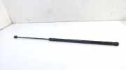 Gasdruckfeder Audi A3 Sportback (8VA/8VF) Schrägheck 5-drs 1.6 TDI 16V (CLHA) 2013-09
