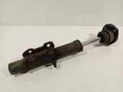Federbein Links Vorne 2E0413023AM Volkswagen Crafter Van 2.5 TDI 30/32/35/46/50 (BJK) 2007 BJK