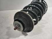 Federbein Links Vorne 7E5413031C Volkswagen Transporter T6 Van 2.0 TDI 150 (DNAA) 2018-01 DNAA