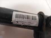 Federbein Rechts Hinten 52025846 Fiat 500X (334) SUV 1.4 Multi Air 16V (55263624) 2016