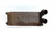 Ladeluftkühler 96844212480 Citroën Berlingo Cinqspace, Multispace Großraumlimousine 1.6 HDi 90 (DV6DTED(9HP)) 2012-01
