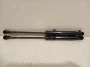 Gasdruckfeder Set Vorne 654706643R Opel Vivaro Van 1.6 CDTI 90 (R9M-408(R9M-A4)) 2015-12