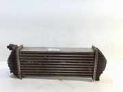 Ladeluftkühler Radiator 1449632324R Renault Kangoo Express (FW) Van 1.5 dCi 90 FAP (K9K-608(K9K-B6)) 2019-04