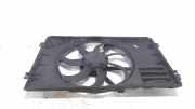Kühlerventilatormotor 1355D300186 Volkswagen Caddy III (2KA,2KH,2CA,2CH) Van 2.0 SDI (BDJ) 2007 BDJ
