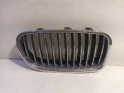 Grill Gitter Rechts 51137200728 BMW 5 serie (F10) Limousine 528i xDrive 16V (N20-B20A) 2013-05