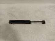 Gasdruckfedern Set Hinten 1S6827550E Volkswagen Up! (121) Schrägheck 1.0 12V 75 (CWRA) 2019 CWRA
