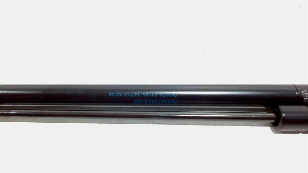 Gasdruckfedern Set Hinten 4H0827551B02S Audi A8 (D4) Limousine 4.2 TDI V8 32V Quattro (CDSB) 2010 Bild Gasdruckfedern Set Hinten 4H0827551B02S Audi A8 (D4) Limousine 4.2 TDI V8 32V Quattro (CDSB) 2010