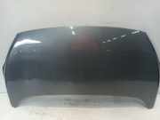 Motorhaube Ford Ka II Schrägheck 1.2 (169.A.4000(Euro 4; Euro 5)) 2009