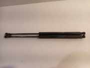 Gasdruckfedern Set Hinten 51785412 Fiat 500 (312) Schrägheck 1.2 69 (169.A.4000) 2009