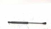 Gasdruckfeder A2217500236 Mercedes-Benz S (W221) Limousine 5.5 S-550 32V (M273.961) 2005-10