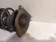 Federbein Rechts Vorne Mini Mini One/Cooper (R50) Schrägheck 1.6 16V Cooper (W10-B16A) 2004