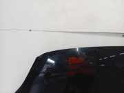 Motorhaube Ford Grand C-Max (DXA) Großraumlimousine 1.0 Ti-VCT EcoBoost 12V 125 (M1DA(Euro 5)) 2013