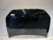 Motorhaube Volkswagen Polo V (6R) Schrägheck 1.2 TDI 12V BlueMotion (CFWA(Euro 5)) 2010-06 CFWA(Euro 5)