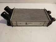 Ladeluftkühler Radiator 9824742280 Peugeot 208 II (UB/UH/UP) Schrägheck 5-drs 1.2 Vti 12V PureTech 100 (EB2ADTDB(HNE)) 2020-12