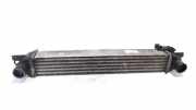 Ladeluftkühler Radiator Peugeot Bipper (AA) Van 1.4 HDi (DV4TD(8HS)) 2008-07