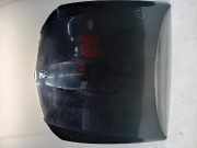 Motorhaube BMW 3 serie Touring (E91) Kombi 318i 16V (N43-B20A) 2009