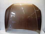 Motorhaube 8V0823029D Audi RS 3 Sportback (8VA/8VF) Schrägheck 5-drs 2.5 TFSI 20V Quattro (DNWA) 2019