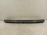 Tageslicht 203829496C Tesla Model Y SUV RWD 58 kWh, Long Range RWD 75 kWh (4D3) 2025-06