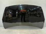 Motorhaube Hyundai i20 Schrägheck 1.4i 16V (G4FA) 2009-06