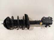 Federbein Links Vorne 48520F4120 Toyota C-HR (X1,X5) SUV 2.0 16V Hybrid (M20AFXS) 2021