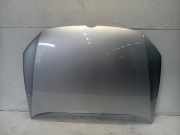 Motorhaube Volkswagen Polo V (6R) Schrägheck 1.4 16V (CGGB(Euro 5)) 2010 CGGB(Euro 5)