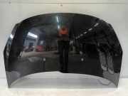 Motorhaube Peugeot 206+ (2L/M) Schrägheck 1.4 XS (TU3JP(KFW)) 2009-11