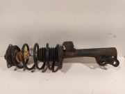 Federbein Links Vorne Mercedes-Benz B (W245) Schrägheck 2.0 B-200 16V (M266.960) 2009