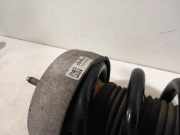 Federbein Links Vorne 37116863173 BMW X5 (F15) SUV xDrive 35d 3.0 24V (N57-D30A) 2014-03