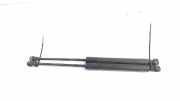 Gasdruckfeder Set Vorne Mercedes-Benz Citan (415.6) Van 1.5 108 CDI (OM607.951) 2015