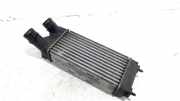 Ladeluftkühler Radiator 9682434580 Peugeot Partner Tepee (7A/B/C/D/E/F/G/J/P/S) Großraumlimousine 1.6 HDI 90 16V Phase 1 (DV6ATED4(9HX)) 2009-09