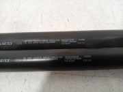 Gasdruckfedern Set Hinten 904529943R Dacia Sandero II Schrägheck 0.9 TCE 12V (H4B-400(H4B-A4)) 2013