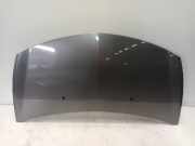 Motorhaube Renault Clio III Estate/Grandtour (KR) Kombi 1.5 dCi 70 (K9K-768) 2009