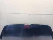 Motorhaube Ford B-Max (JK8) Großraumlimousine 1.6 Ti-VCT 16V (IQJA(Euro 5)) 2014