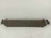 Ladeluftkühler Radiator Fiat Doblo Cargo (263) Van 1.3 D Multijet (199.A.3000) 2015-05