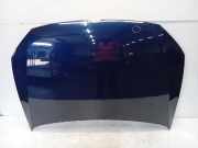 Motorhaube Volkswagen Polo V (6R) Schrägheck 1.4 16V (CGGB(Euro 5)) 2011 CGGB(Euro 5)