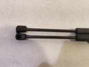 Gasdruckfeder Set Vorne Citroën DS5 (KD/KF) Schrägheck 5-drs 1.6 HDiF 16V (DV6C(9HD)) 2014