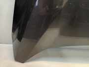 Motorhaube Ford C-Max (DXA) Großraumlimousine 1.0 Ti-VCT EcoBoost 12V 100 (M2DA(Euro 5)) 2013