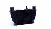 Ladeluftkühler Radiator 876893NF Renault Modus/Grand Modus (JP) Großraumlimousine 1.5 dCi 80 (K9K-750) 2005-05