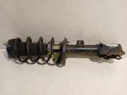 Federbein Links Vorne mfn1c18b037bb Ford EcoSport (JK8) SUV 1.0 EcoBoost 12V 125 (M1JJ) 2017-05