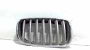 Grill Gitter Rechts 51137171396 BMW X5 (E70) SUV xDrive 30d 3.0 24V (M57N2-D30(306D3)) 2009-06