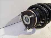 Federbein Rechts Vorne BK3118045HC Ford Transit Van 2.0 TDCi 16V Eco Blue 105 (BJFA) 2017-06