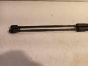 Gasdruckfedern Set Hinten AM51R406A10 Ford C-Max (DXA) Großraumlimousine 1.6 SCTi 16V (JQDA) 2011